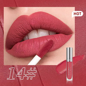 IMAGIC Natural Matte Liquid Lipgloss Shade 14 - Soft Mauve Pink Matte Liquid Lipstick - Pink Flash BD